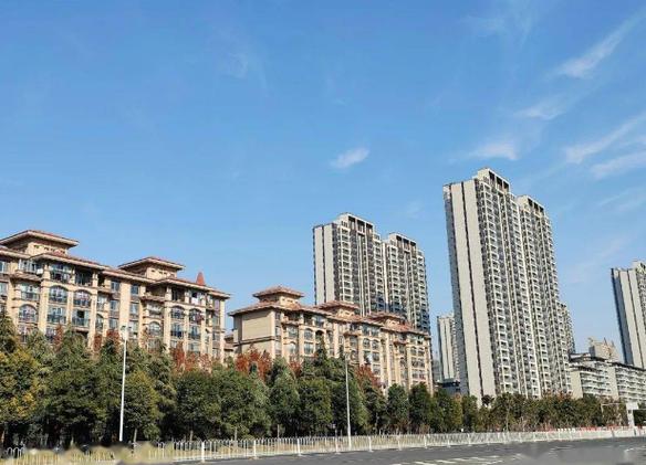 新西南国际花园二期