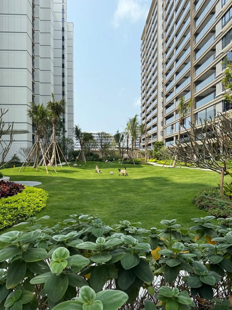 臻园阳光楼盘被曝光