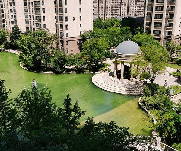 西安曲江龙邸楼盘详情