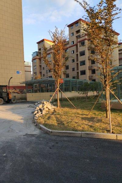 兴化三紫星城房价