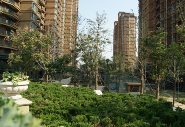 外海中央花园业主论坛