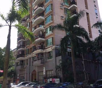 深圳鸿福花园最新消息