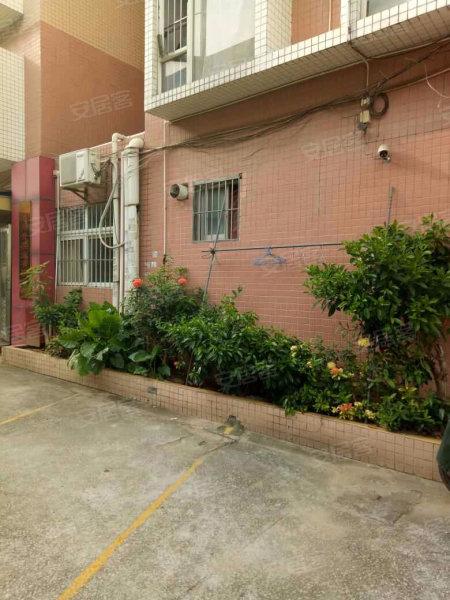 深圳鸿福花园最新消息