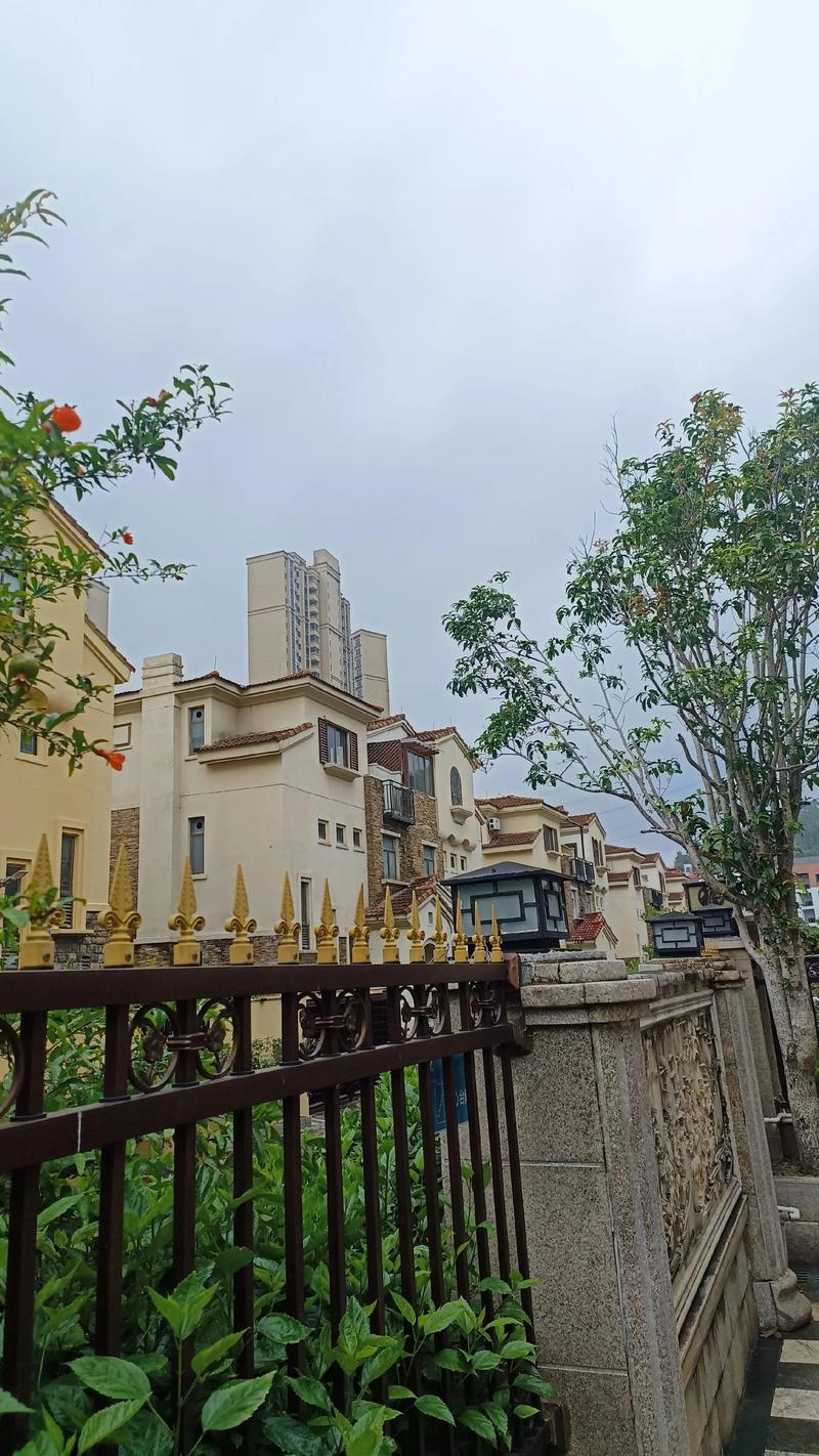 惠来新楼盘碧桂园房价