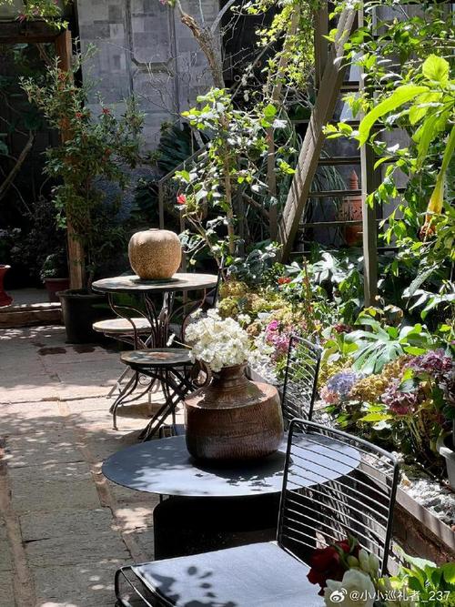 杨丽萍家的花园图片