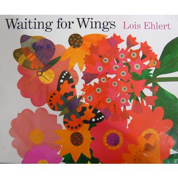 花园准备好了吗