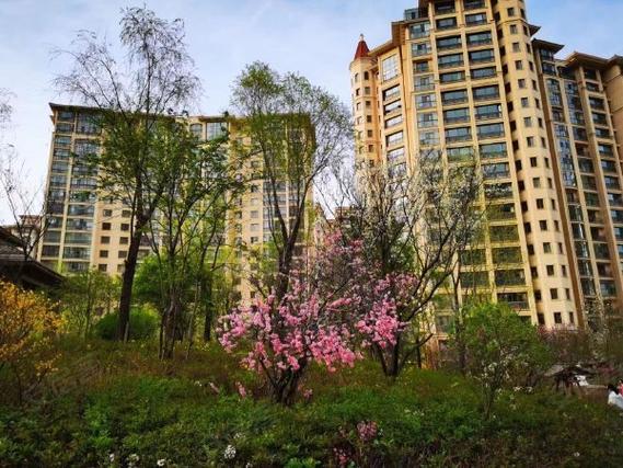 益阳香格里拉城市花园