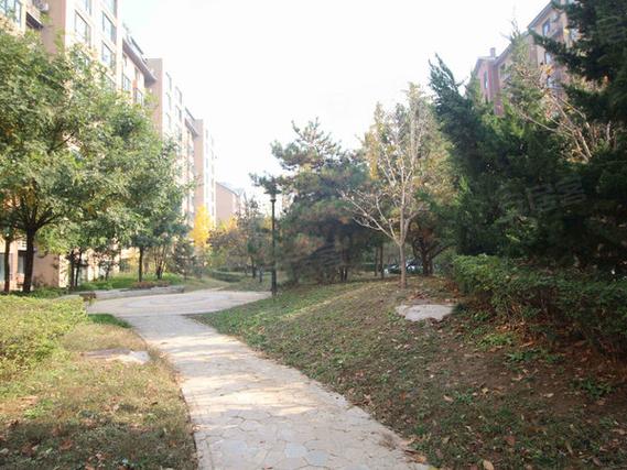 北京东坝奥林匹克花园