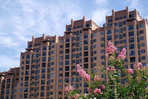 安国盛大花园最新消息