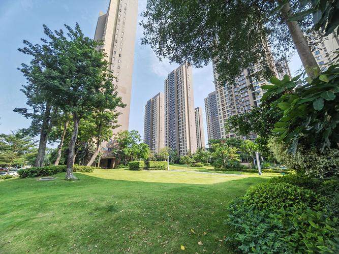 东莞松山湖台科花园