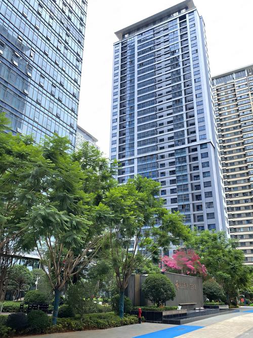 昆明巫家坝新楼盘