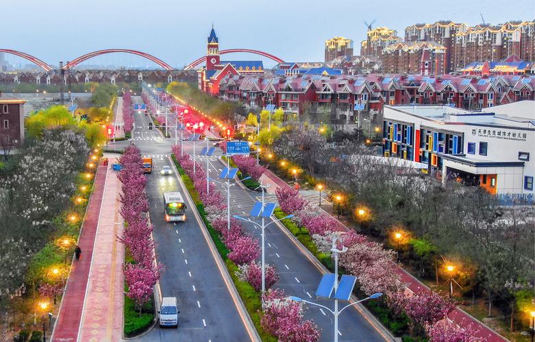 中新天津生态城楼盘