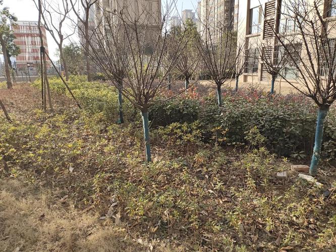 池州铜冠花园二期