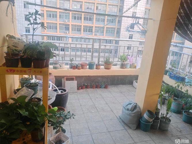 枣庄凯润花园怎么样