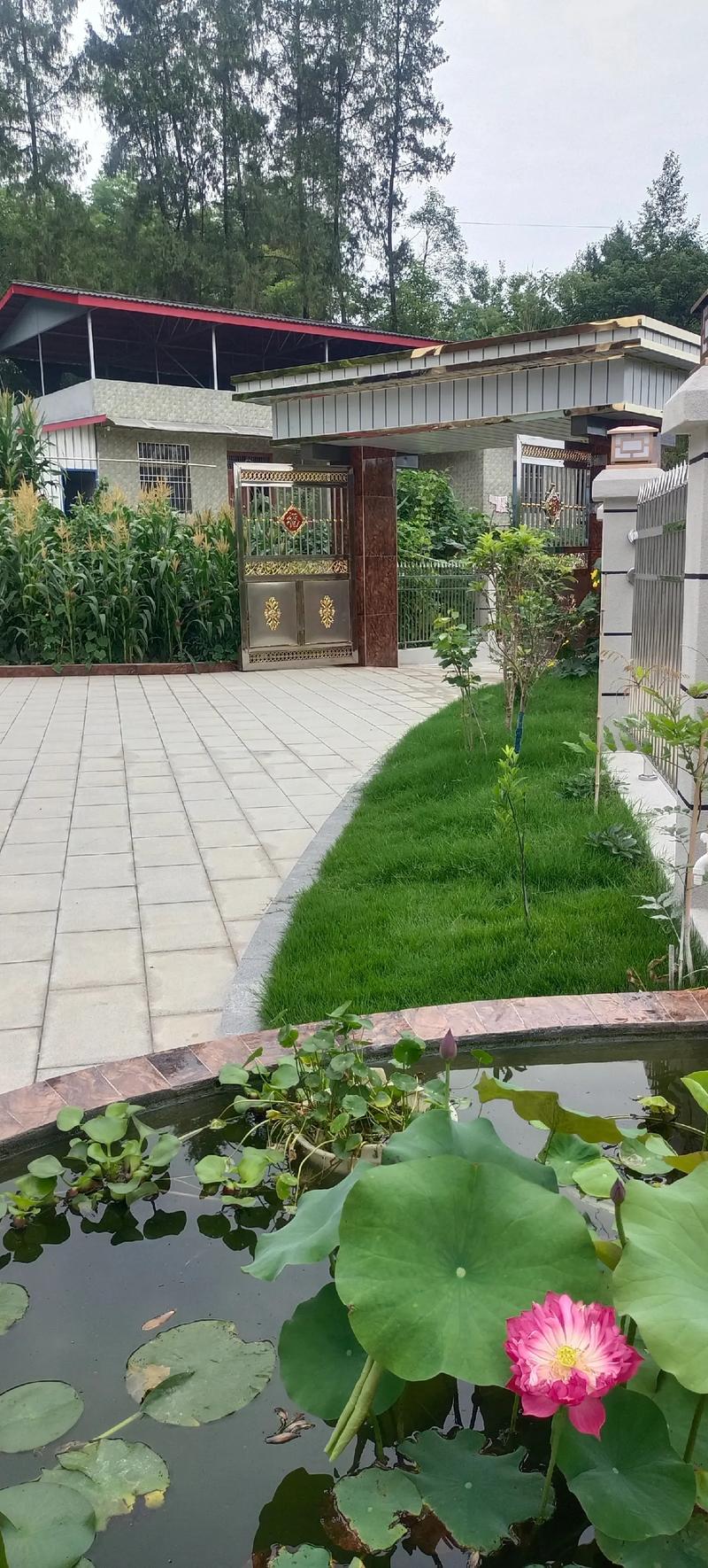 100平米花园效果图