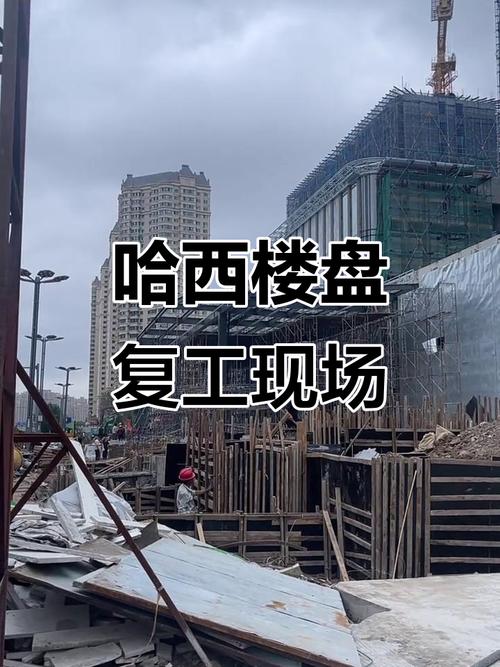 哈西环贸世家楼盘