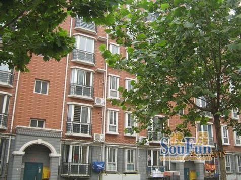 石家庄亚龙花园地址