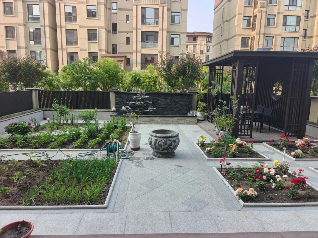 主人花园怎么样了