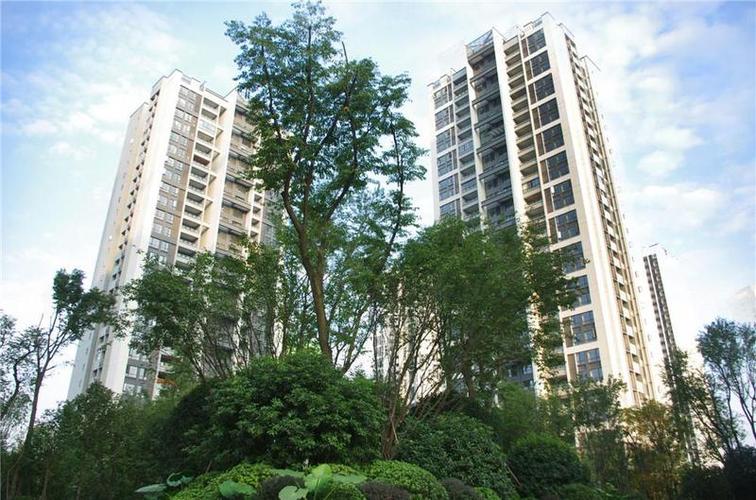 龙头寺招商花园城