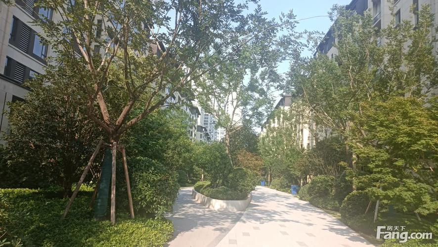 郑州裕鑫花园最新动态