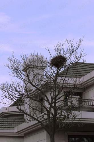 合肥翡翠花园别墅