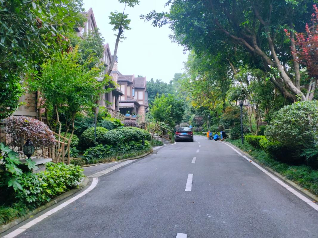 新津卖的最好的楼盘