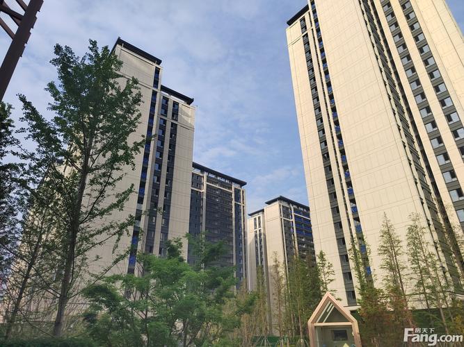 新津卖的最好的楼盘