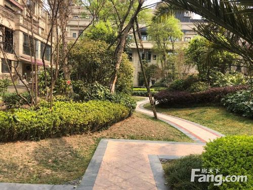 成都大面镇最新楼盘