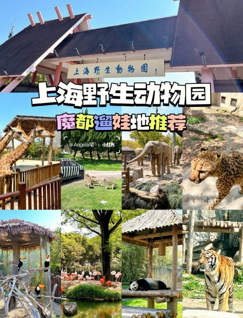 上海野生动物园房价