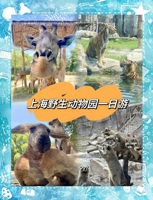 上海野生动物园房价