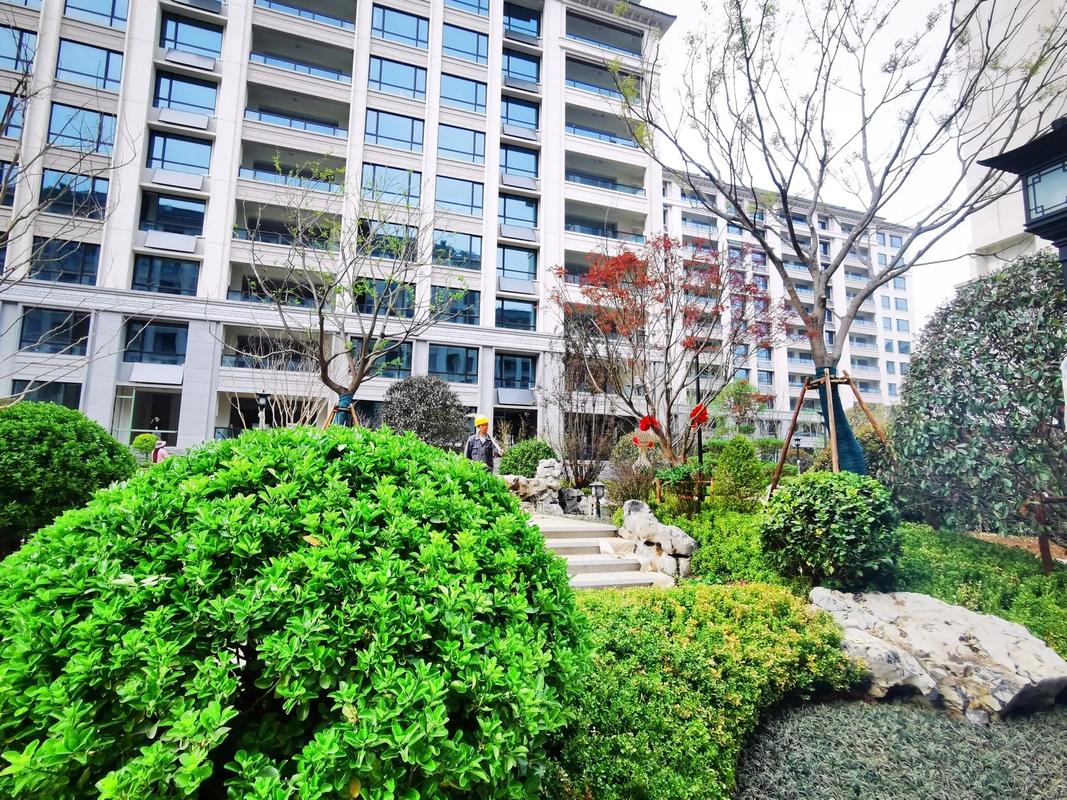 泰安高铁站附近楼盘