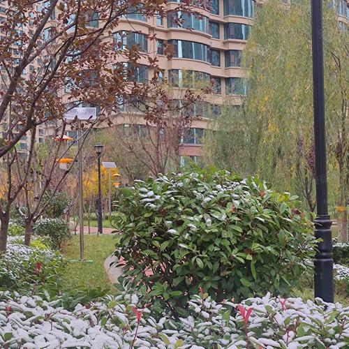 运城滨湖一号房价