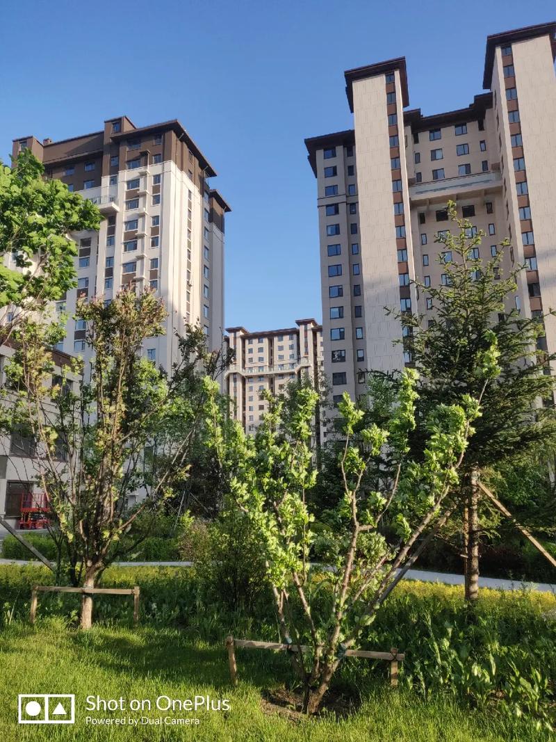 延吉市首尔春天楼盘