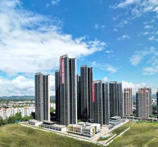 东莞塘厦最新楼盘