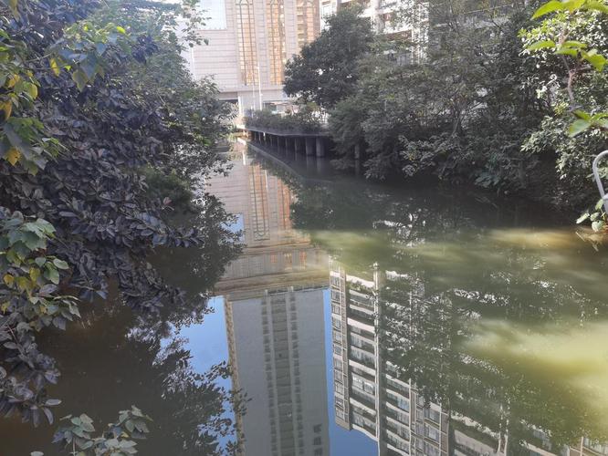 佛山千灯湖保利花园