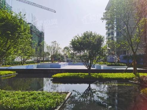 花蒋路附近新楼盘