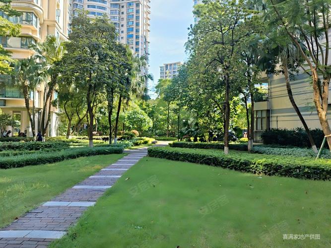 顺德雅居乐花园房价