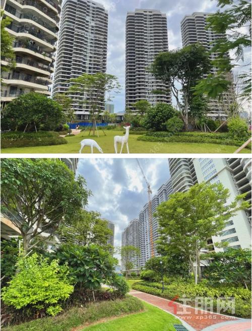 玉林中鼎智慧森林楼盘