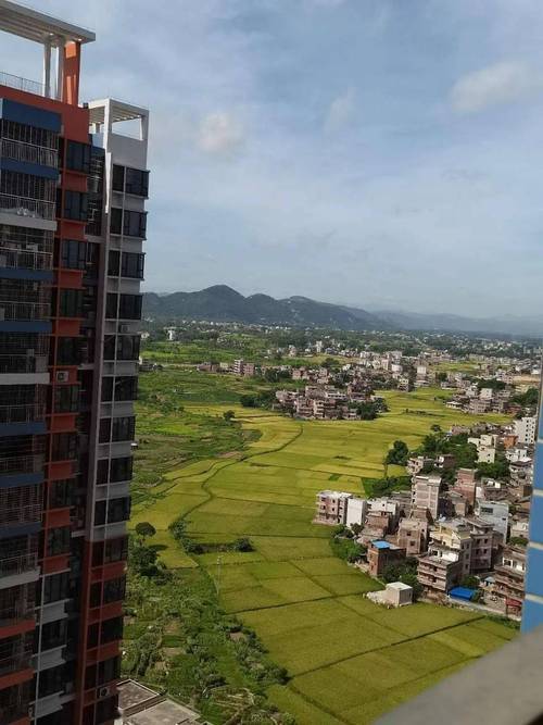 罗定首付五万楼盘