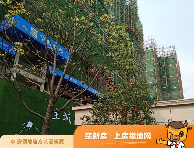 吉安高铁西站附近楼盘