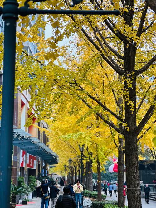 上海黄金城道房价