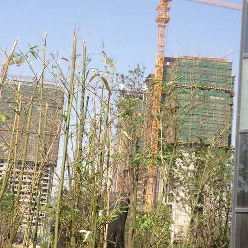 北城新天地楼盘详情