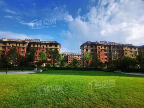 恒信森林21度楼盘