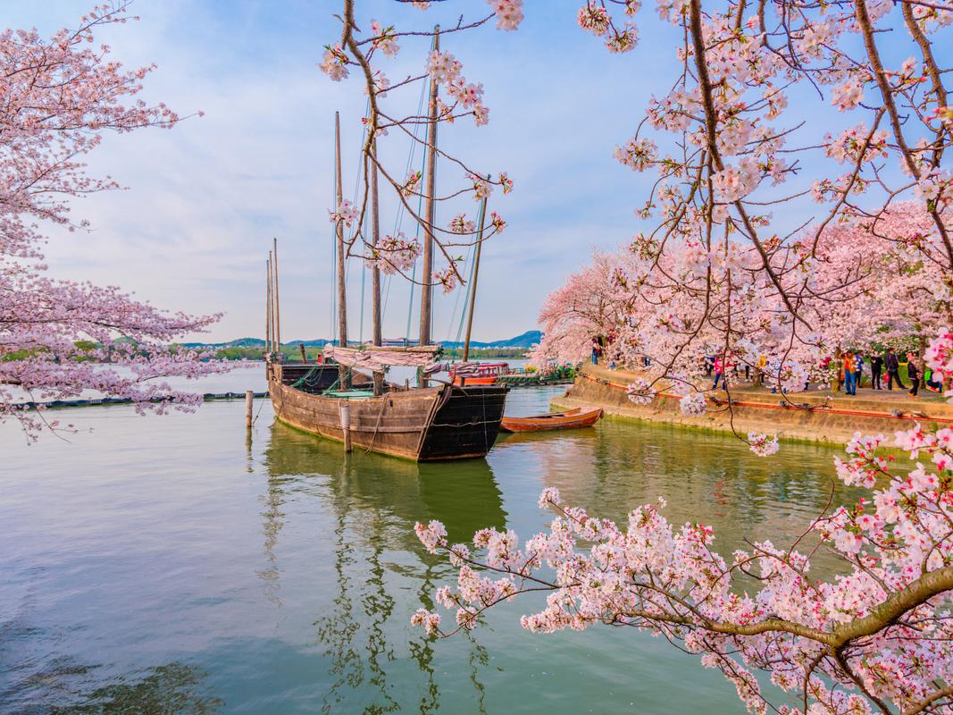 都江堰春天花园