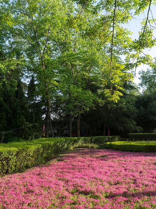 都江堰春天花园