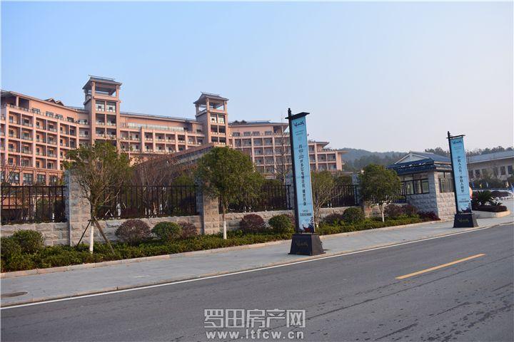 罗田县哪个楼盘好