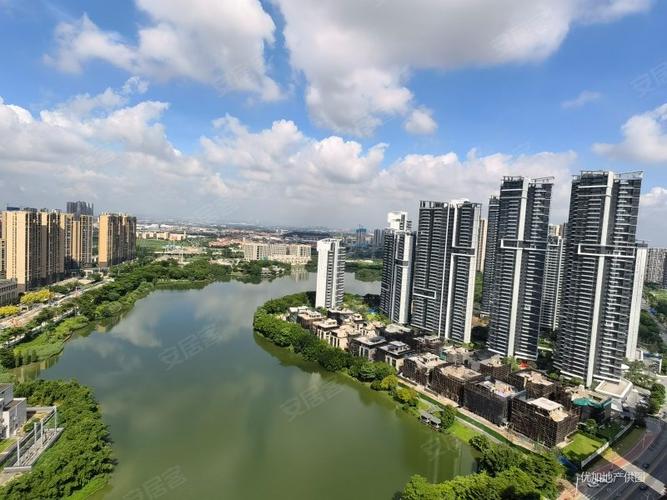 新桥阳光半岛房价