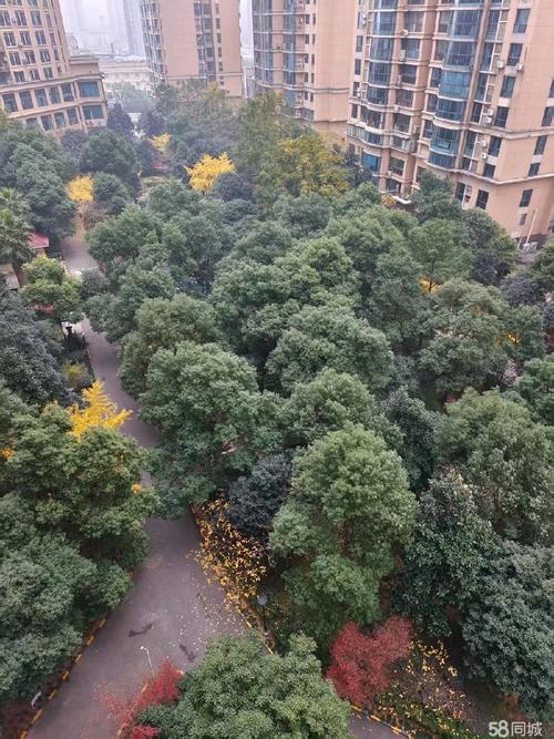 长沙融圣国际房价