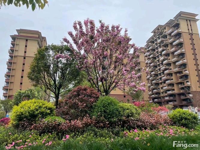 陕西洋县最好的楼盘