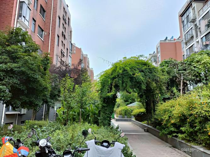 巢湖徽商御花园的房价